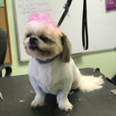 Manny's Pet Grooming - Pet Grooming