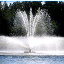 Turtle Fountains - Lawn & Garden Equipment & Supplies