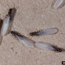 Pioneer Exterminating Company - TEXAS - Pest Control Services