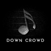 Down Crowd gallery