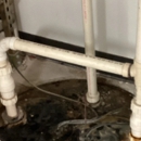 Sleep Tight Plumbing - Plumbers