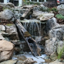 Carolina Pondscapes, Inc. - Ponds & Pond Supplies