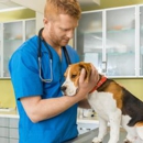 Wards Corner Animal Hospital - Veterinary Clinics & Hospitals