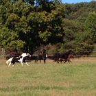 New Hope Stables & Campgrounds