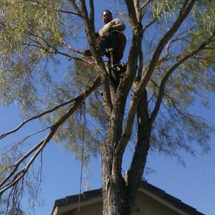 Aron's Tree Service - Las Vegas, NV. Tree removal