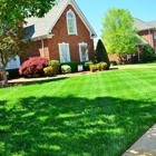 D&a's lawn company