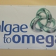 Algae To Omega