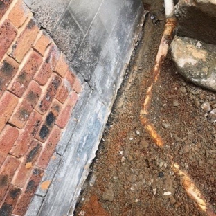 Precision Building. Rising Damp