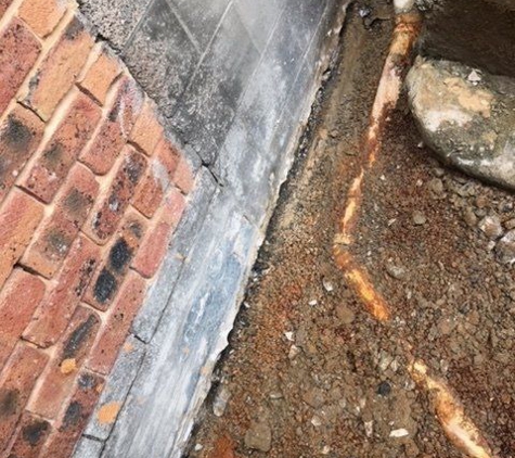 Precision Building. Rising Damp