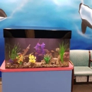 Aquarium Services Inc. - Aquariums & Aquarium Supplies