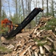 BS Firewood Processing