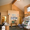 All Paws Veterinary Clinic gallery
