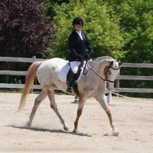 Vaquero Training Center - East Windsor, CT