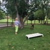 Kennel Komforts gallery