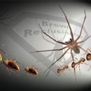 Brown Reclusinator & Bed Buginator Pest-Termite-Wildlife Control - Inspection Service