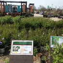 Stein's Garden & Home - Nurseries-Plants & Trees