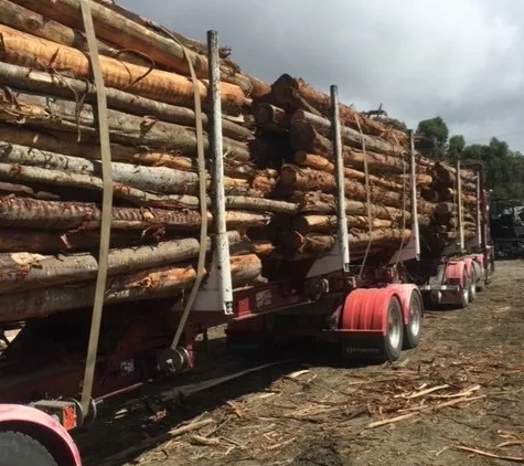 Firewood Devils - Leslie Vale, TAS
