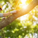 The JT Tree Service - Tree Service