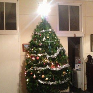 Santa's Shaped Christmas Trees Pty Ltd - Gundaroo, NSW