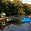 Naples Marina And Excursions - Kayaks