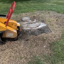 Root Wrecker - Tree Service