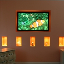 Custom Electronics Group of Huntersville - Home Theater Systems