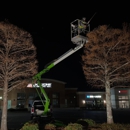 Triple A Tree Service - Tree Service