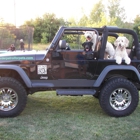 Border Patrol Pet Containment Systems