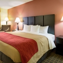 Comfort Inn & Suites Macon North I-75 - Motels