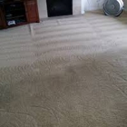 Organic Carpet Cleaning Encino