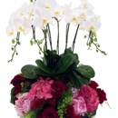 Miami Gardens Florist - Flowers, Plants & Trees-Silk, Dried, Etc.-Retail