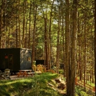 Postcard Cabins Lake Hartwell