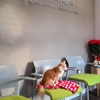 Pam Williams - State Farm Insurance Agent gallery