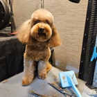 AZ Precision Pet LLC
