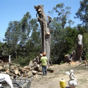 Gallery Image Number 3