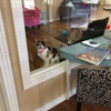 The Casual Cat Cafe gallery