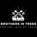 Brothers In Trees - Tree Service