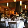 Barking Frog gallery