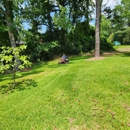 By The Yard Lawn Care - Tree Service