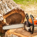 A1 Tree Service - Tree Service