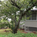 Wahiawa Elementary School