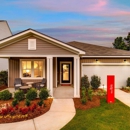 Grand Arbor By Centex Homes - Home Builders