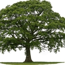 A-1 Brosch Tree Service Inc - Landscape Designers & Consultants