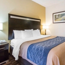 Comfort Inn Greenville I-65 - Motels