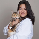 CityVet | Highlands Ranch Veterinary Clinic & Urgent Care - Pet Services