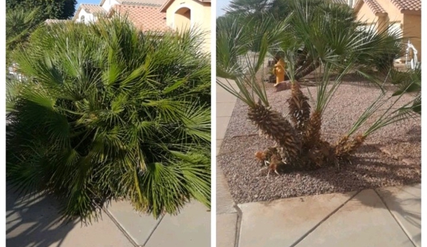 Phillip's Landscaping services - Chandler, AZ