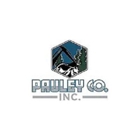Pauley Co Inc