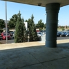 Tumminia Mazda gallery