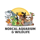 NorCal Aquarium & Wildlife - Aquariums & Aquarium Supplies