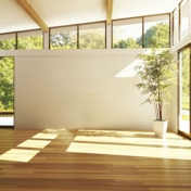 Gallery Image Number 2